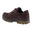 ECCO 838144 BRUIN