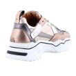 DWARS J5217-68 BRONS